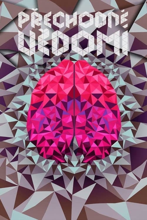 Přechodné vědomí (2014) poster