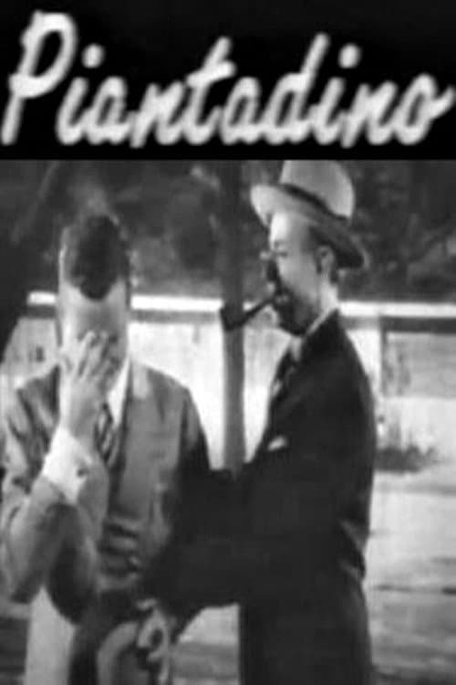 Piantadino (1950) poster