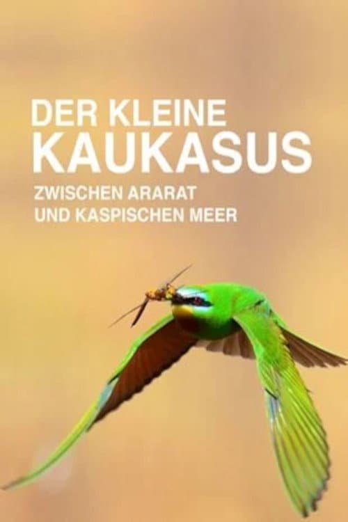 Der Kleine Kaukasus - Zwischen Ararat und Kaspischem Meer (2016) poster