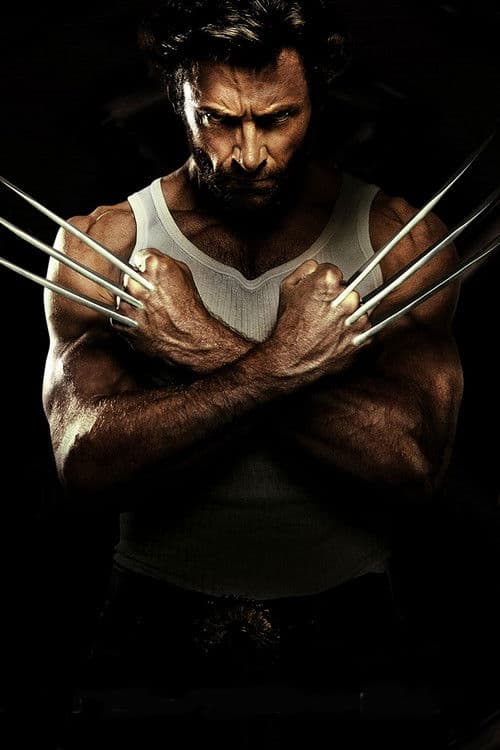 The Roots of Wolverine: A Conversation with Stan Lee and Len Wein (2009) poster