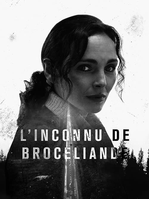 L'Inconnu de Brocéliande (2016) poster