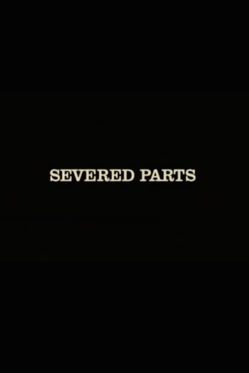 The Texas Chainsaw Massacre: Severed Parts (2004) poster