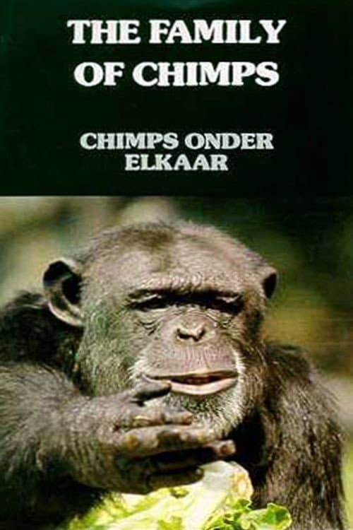 Chimps Onder Elkaar (1984) poster
