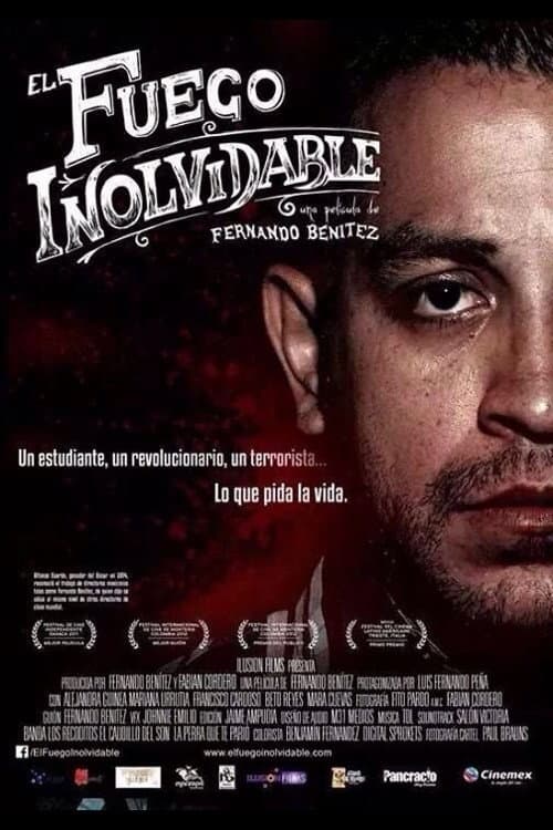 El fuego inolvidable (2014) poster