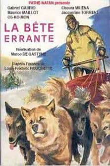 La Bête errante (1932) poster