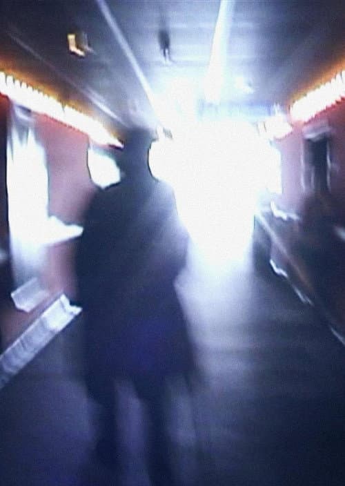 Stan Brakhage Exits the Cinema and Enters the Light of Day (2002) poster