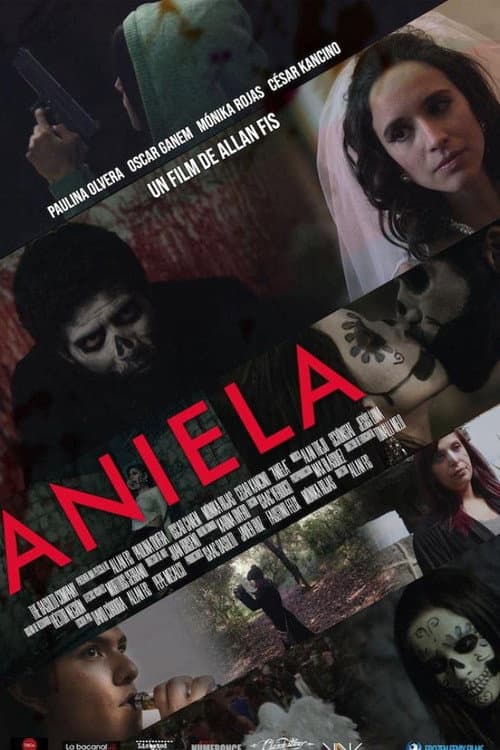 Aniela (2020) poster