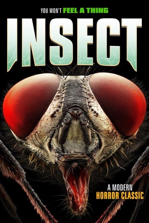 Insect (2021) poster