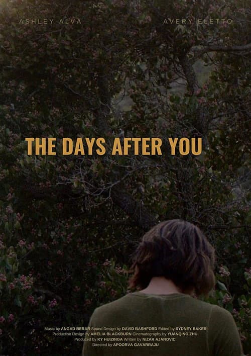 The Days After You (2020) poster