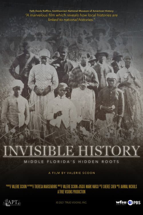 Invisible History: Middle Florida's Hidden Roots (2021) poster
