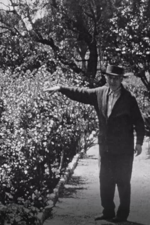 Chagall dans son jardin a Saint-Paul-de-Vence (1970) poster