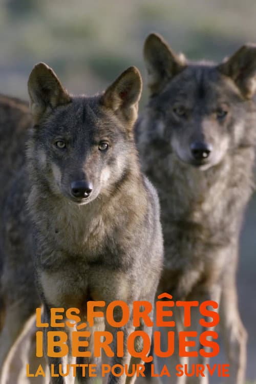 Les forêts ibériques : La lutte pour la survie (2020) poster