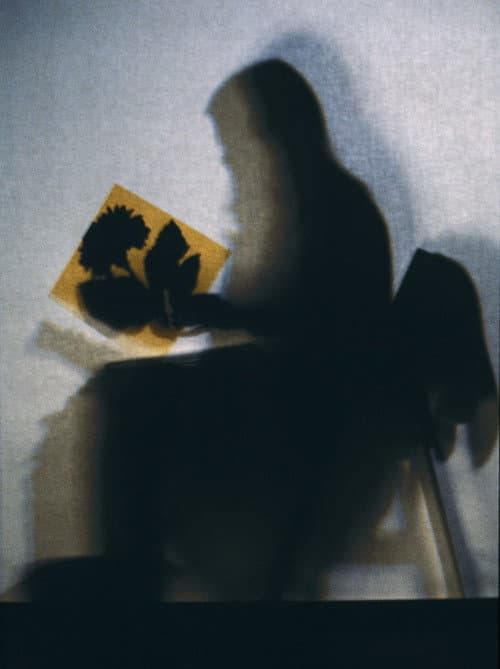 Lourdes Castro Sombras (1970) poster